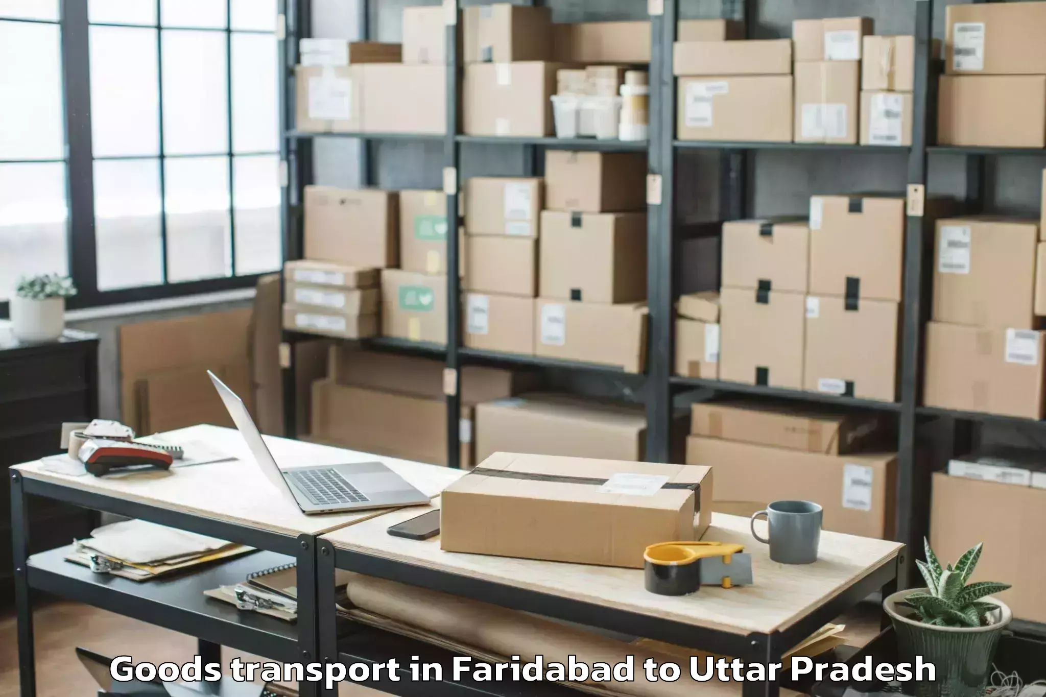 Affordable Faridabad to Bilhaur Goods Transport